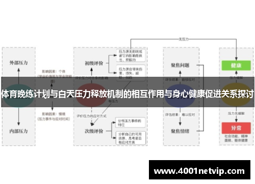 体育晚练计划与白天压力释放机制的相互作用与身心健康促进关系探讨