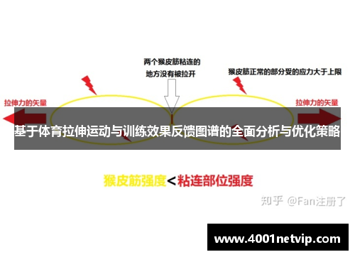 基于体育拉伸运动与训练效果反馈图谱的全面分析与优化策略