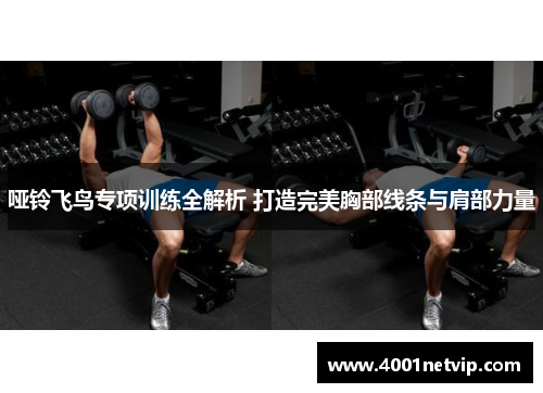 哑铃飞鸟专项训练全解析 打造完美胸部线条与肩部力量
