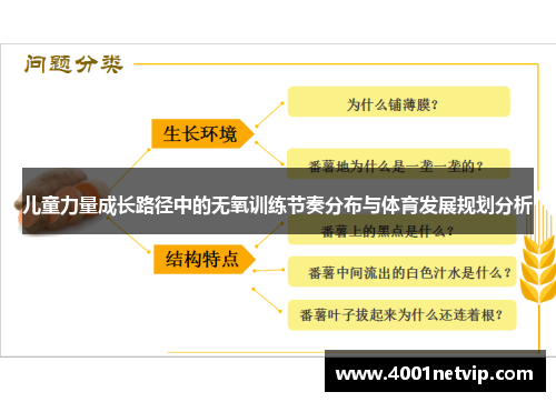 儿童力量成长路径中的无氧训练节奏分布与体育发展规划分析