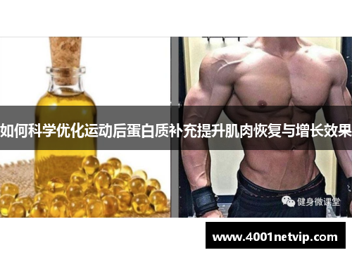 如何科学优化运动后蛋白质补充提升肌肉恢复与增长效果