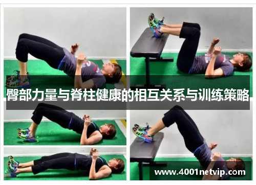 臀部力量与脊柱健康的相互关系与训练策略